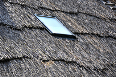 Similar image 1454022