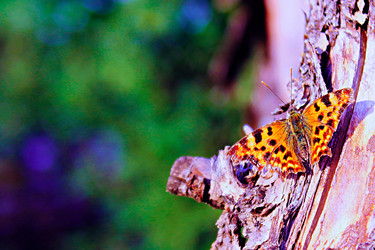 Similar image 1454053