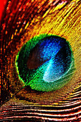 Similar image 1454054