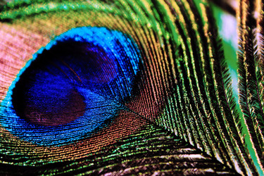 Similar image 1454055