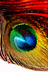 Similar image 1454056