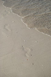 Similar image 1454084