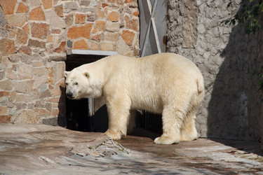 Similar image 1454092