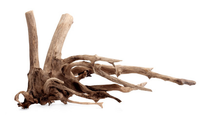 Similar image 1454196