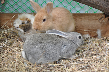 Similar image 1454286