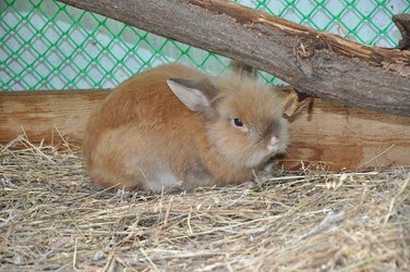 Similar image 1454287