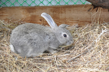 Similar image 1454288