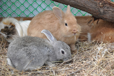 Similar image 1454289