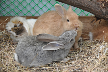 Similar image 1454290