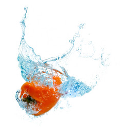 Similar image 1454347