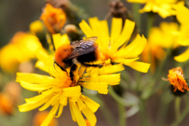 Similar image 1454375