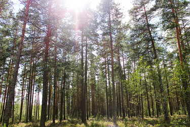 Similar image 1454376