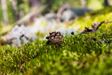 Similar image 1454377