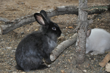 Similar image 1454460