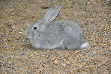 Similar image 1454462