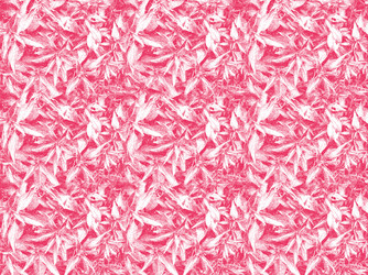 Similar image 1454500