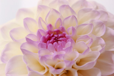 Similar image 1454502