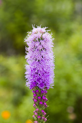 Similar image 1454503