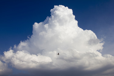 Similar image 1454506