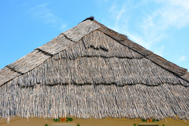 Similar image 1454519