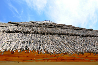 Similar image 1454520