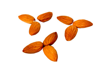 Similar image 1454522