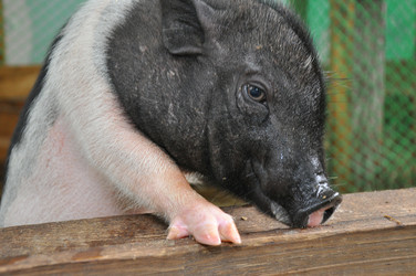 Similar image 1454524