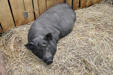 Similar image 1454525