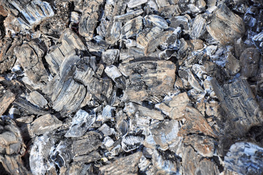 Similar image 1454526