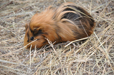 Similar image 1454527