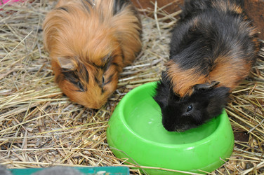 Similar image 1454528