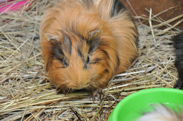 Similar image 1454529