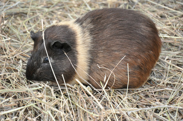 Similar image 1454531