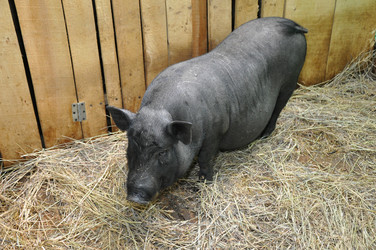 Similar image 1454533