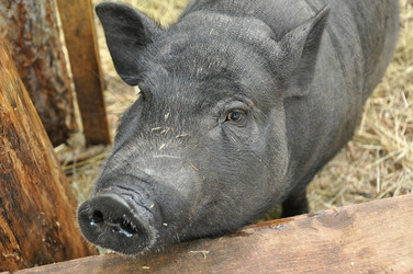 Similar image 1454541