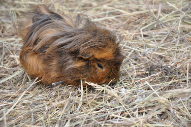 Similar image 1454554