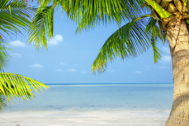 Similar image 1454596