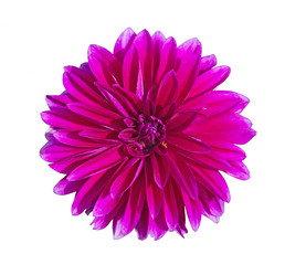 Similar image 1455170