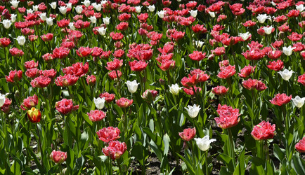 Similar image 1455171