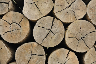 Similar image 1455172