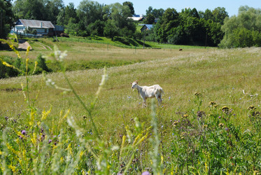 Similar image 1455173