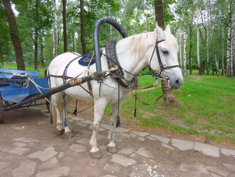 Similar image 1455174