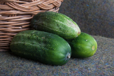 Similar image 1455183