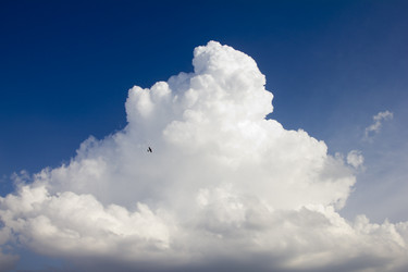 Similar image 1455194