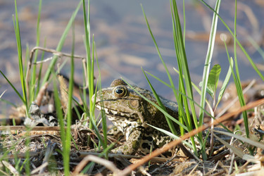 Similar image 1455195