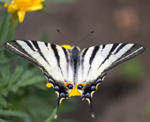 Similar image 1455197