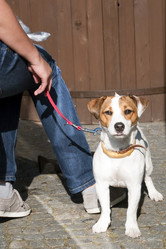 Similar image 1455205