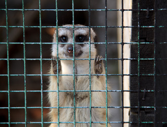 Similar image 1455211