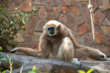 Similar image 1455212