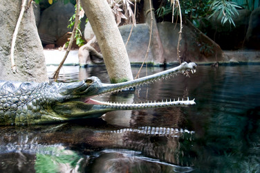 Similar image 1455224